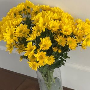 Meet your Posher, Elise